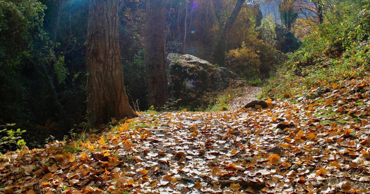 Alojamiento Rural Fuente De La Glorieta Cazorla Buitenkant foto