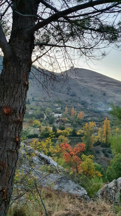 Alojamiento Rural Fuente De La Glorieta Cazorla Buitenkant foto